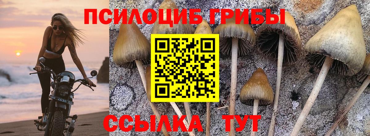 Лабытнанги  Галлюциногенные грибы Magic Shrooms  Псилоцибиновые грибы Magic Shrooms  Вход с VPN 